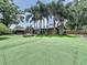 Expansive backyard showcasing artificial turf, palm trees, and a covered patio area for relaxation at 11525 Country Oaks Dr, Tampa, FL 33618