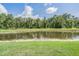 Landscaped backyard featuring a beautiful pond and lush greenery on a sunny day at 17592 Nectar Flume Dr, Land O Lakes, FL 34638