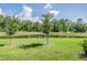 Backyard featuring a picturesque pond surrounded by lush greenery and trees at 17592 Nectar Flume Dr, Land O Lakes, FL 34638