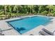 Community pool with lounge chairs and stairs leading into the refreshing water at 17592 Nectar Flume Dr, Land O Lakes, FL 34638