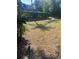 Expansive backyard featuring a grass area surrounded by mature trees at 2160 Corbin Pl # C, Palm Harbor, FL 34683