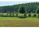 This backyard features a pond, tall trees, green grass, and a bright, sunny sky at 2190 Great Sapphire Ln, Lutz, FL 33558