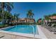Community swimming pool with lounge chairs in a tropical setting surrounded by palm trees and well-maintained landscaping at 2640 Enterprise E Rd # B25, Clearwater, FL 33759