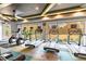 Well-equipped fitness center with treadmills, ellipticals, and large windows with a view of the outdoors at 32015 Summerglade Dr, Wesley Chapel, FL 33545
