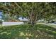 Home exterior featuring mature trees, a well-manicured lawn, and a modern white fence at 3242 Brushwood Ct, Clearwater, FL 33761