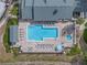Aerial top down shot of community pool, hot tub, sun loungers, and landscaping at 3305 Haviland Ct # 101, Palm Harbor, FL 34684
