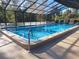 Indoor pool featuring clear water with ladder, surrounded by a screened enclosure at 3536 Countrybrook Ln # 13, Palm Harbor, FL 34684