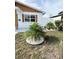 Landscaped front yard with a palm tree and white rock at 5151 7Th N Ave, St Petersburg, FL 33710