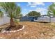 Expansive backyard with mature palm tree and covered patio for outdoor enjoyment at 546 90Th N Ave, St Petersburg, FL 33702