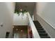 Open staircase with white railing and decor features leading to the second floor at 7563 Ashcroft Dr, Wesley Chapel, FL 33545