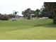 Expansive green golf course with palm trees, interspersed with golfers enjoying the game at 9705 45Th N Way, Pinellas Park, FL 33782