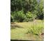 A well-maintained lawn is surrounded by lush greenery and foliage at 12206 N 53Rd St, Temple Terrace, FL 33617