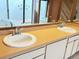 Bathroom featuring a double sink vanity with white cabinetry and a jetted tub at 12206 N 53Rd St, Temple Terrace, FL 33617