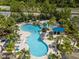 Aerial view of resort style pool with palm trees, lounge chairs, and lush tropical landscaping at 12209 Glencliff Cir, Tampa, FL 33626