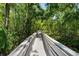 Community walking path through a nature preserve with greenery and sunshine at 12209 Glencliff Cir, Tampa, FL 33626