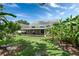 Large backyard featuring banana trees, a big grassy area and a screened in lanai at 12335 Glenfield Ave, Tampa, FL 33626