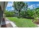 View of the home's secluded backyard, featuring a lush lawn and privacy-providing banana trees at 12335 Glenfield Ave, Tampa, FL 33626