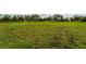 Expansive green space with room for recreational activities at 15403 Wicked Strong St, Sun City Center, FL 33573