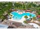 Beautiful community pool area with lounge chairs, palm trees and crystal clear water at 15403 Wicked Strong St, Sun City Center, FL 33573