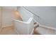 Carpeted staircase with white banister, leading to the next level of the home at 1710 Lago Vista Blvd, Palm Harbor, FL 34685