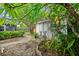 Backyard view with white shed, lush plants, and a stone walkway with a hint of the house and foliage at 257 43Rd Ave, St Pete Beach, FL 33706