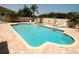 A swimming pool and separate hot tub, surrounded by a brick deck and tall palm trees at 2784 Alexander Dr, Clearwater, FL 33763