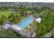 An aerial view of a large community pool, nestled amidst lush greenery, offering a serene and inviting recreational space at 3236 Barbour Trl, Odessa, FL 33556