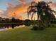 Scenic view of a tranquil lake, palm trees, and a vibrant sunset, creating a serene backyard setting at 3895 Mimosa Pl, Palm Harbor, FL 34685