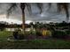 Large grassy backyard with view of a lake and fountain at dusk at 3895 Mimosa Pl, Palm Harbor, FL 34685