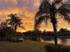 Backyard view with a pond and beautiful orange sunset sky at 3895 Mimosa Pl, Palm Harbor, FL 34685