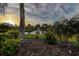 Expansive backyard lawn and lake with fountain in the distance at 3895 Mimosa Pl, Palm Harbor, FL 34685