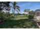 Lush backyard featuring a serene lake view, palm trees, and well-manicured lawn, perfect for relaxation at 3895 Mimosa Pl, Palm Harbor, FL 34685