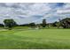 Picturesque golf course with a green and pond, ideal for outdoor recreation at 3895 Mimosa Pl, Palm Harbor, FL 34685