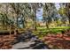 Asphalt walking path leading through a lush green park with trees, grass and picnic areas at 3895 Mimosa Pl, Palm Harbor, FL 34685