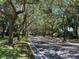 Tree-lined street with an asphalt road and sidewalk at 3895 Mimosa Pl, Palm Harbor, FL 34685