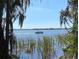 Serene water view featuring a boat on the calm water, surrounded by greenery at 3895 Mimosa Pl, Palm Harbor, FL 34685