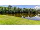 Backyard pond with lush green grass at 50 Ingrid Pl # 50, Oldsmar, FL 34677