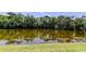 Scenic pond view surrounded by lush trees and a serene atmosphere on a sunny day at 50 Ingrid Pl # 50, Oldsmar, FL 34677