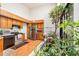 Bright kitchen with skylight, stainless appliances, wooden cabinets, and adjacent interior garden at 70 Morning Dove Pl, Oldsmar, FL 34677