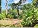 Lush tropical vegetation creating a sense of privacy and natural beauty around the property at 70 Morning Dove Pl, Oldsmar, FL 34677
