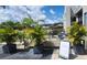 Outdoor lounge area featuring comfortable seating and umbrellas, perfect for relaxing and socializing in a beautiful setting at 70 Morning Dove Pl, Oldsmar, FL 34677