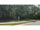 A Personal walks down the sidewalk lined with trees next to lush foliage, showcasing a peaceful residential area at 70 Morning Dove Pl, Oldsmar, FL 34677