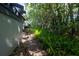 Property features a tranquil side yard with lush landscaping, tall trees, and mature ferns at 70 Morning Dove Pl, Oldsmar, FL 34677