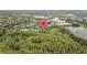 Stunning aerial view of a secluded home surrounded by a lush, green forest at 9327 Hunters Park Way, Tampa, FL 33647