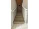 Carpeted stairway with white railings leading to the upper level of the home at 10823 Brickside Ct, Riverview, FL 33579