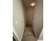 Narrow stairway leading to a lower level with durable laminate flooring at 10823 Brickside Ct, Riverview, FL 33579