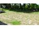 Grassy backyard area providing a tranquil outdoor space at 10871 86Th Ave, Seminole, FL 33772