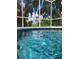Tranquil pool featuring serene, clear blue water and gorgeous views of the yard beyond the screened enclosure at 1178 Fraser Pine Blvd, Sarasota, FL 34240