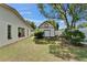 Well-maintained backyard with large storage shed at 1207 Oak Valley Dr, Seffner, FL 33584
