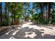 Paver driveway is lined with rocks, landscaping and mature trees at 12506 Twisted Oak Dr, Tampa, FL 33624